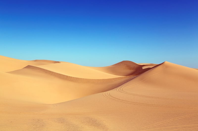 Thar Desert